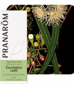 PRANAROM EUKALIPTUS RADIATA ETERIČNO ULJE (EUCALYPTUS RADIATA)